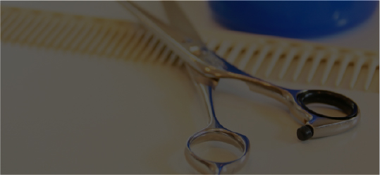 美容室ホワイト